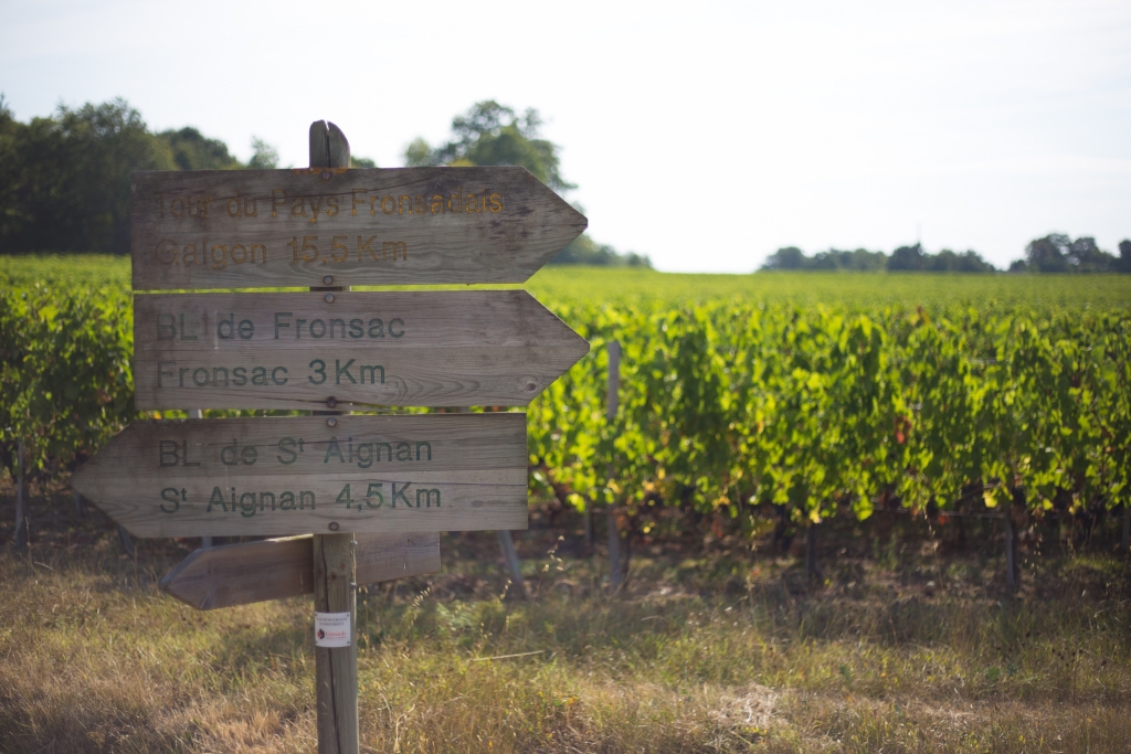 Walks in Bordeaux vineyards