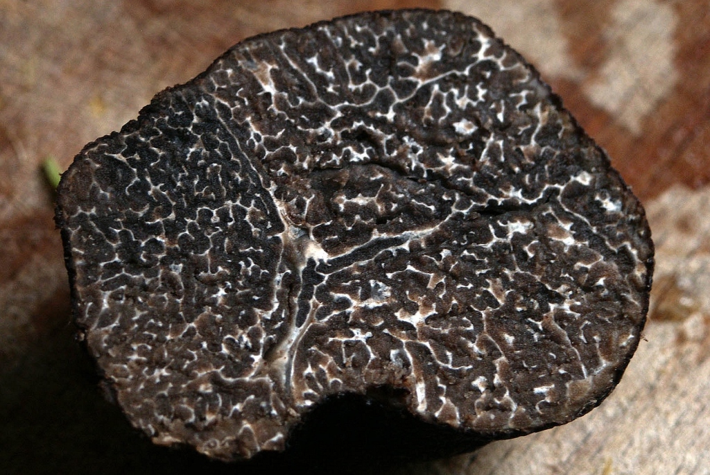 Black truffles or le diamant noir from Provence