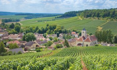 vineyards of champagne in France