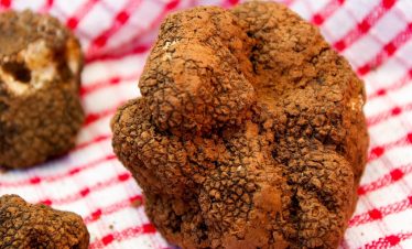 Truffles from Provence for foodies