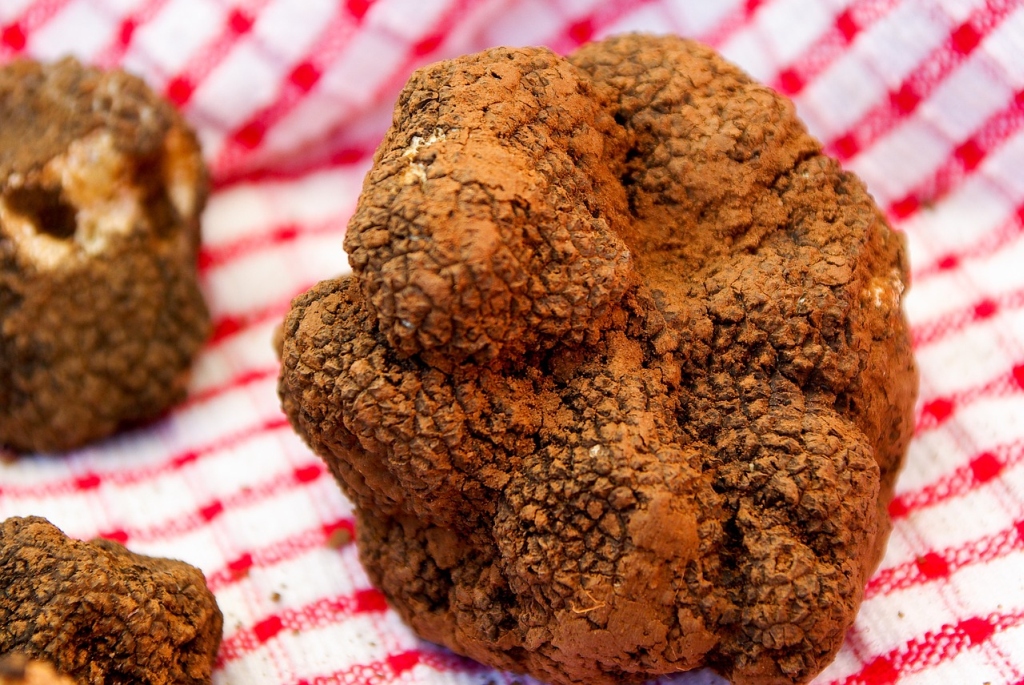 Truffles from Provence for foodies