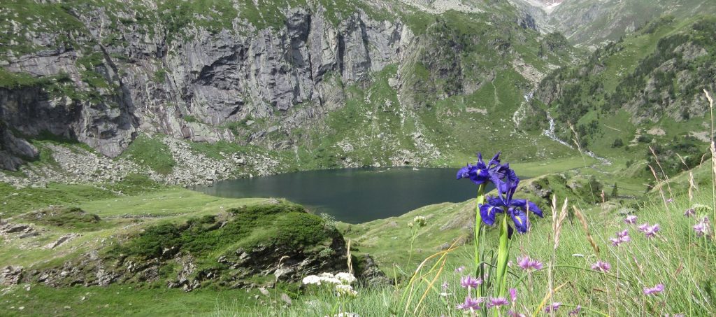 Active holidays in France