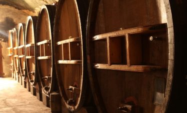 Barrels at Bandol winery