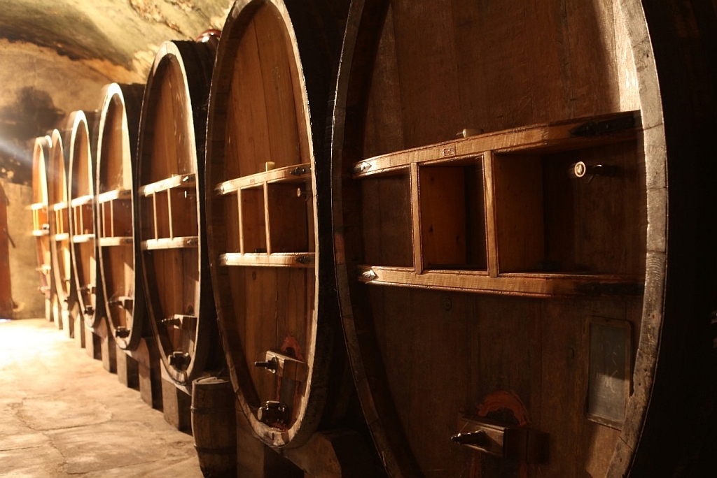 Barrels at Bandol winery