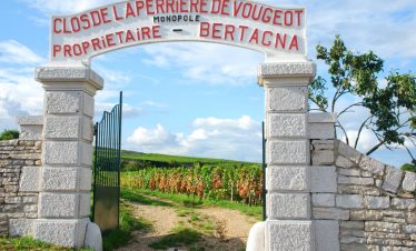 Barge cruise shore excursion vineyard visit