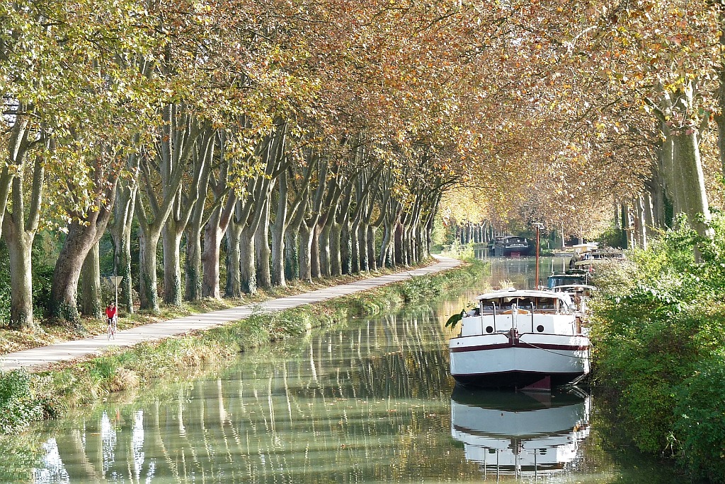 Cruise on Canal du Midi with lunch