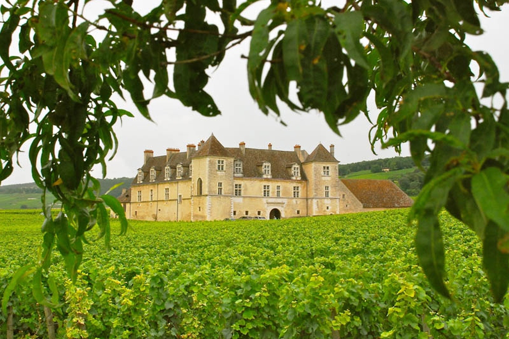 Visit vineyard estates in Burgundy
