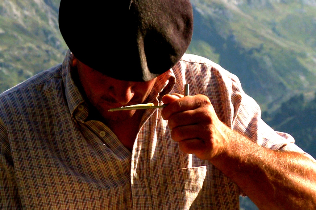 Testing ewes milk cheese for ripeness