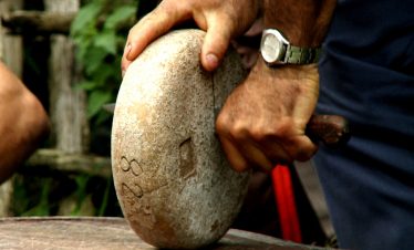 Cutting ewes milk cheese