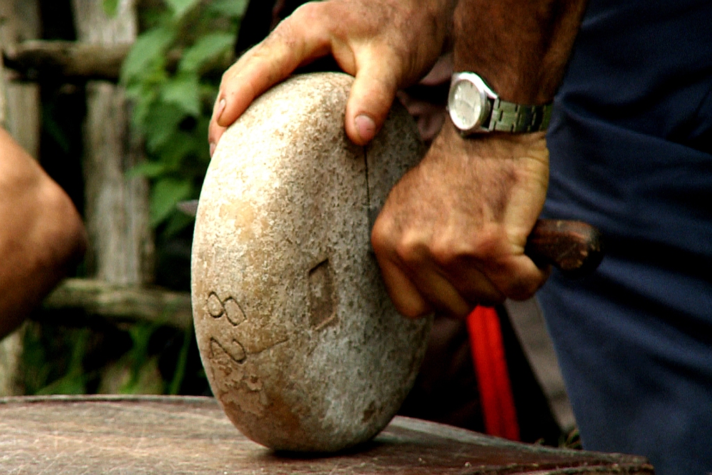 Cutting ewes milk cheese