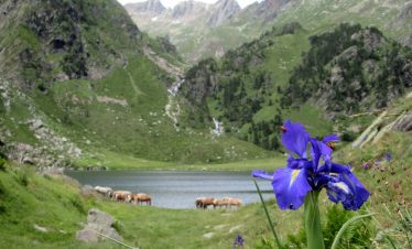 Beautiful scenes in the Pyrenees mountains