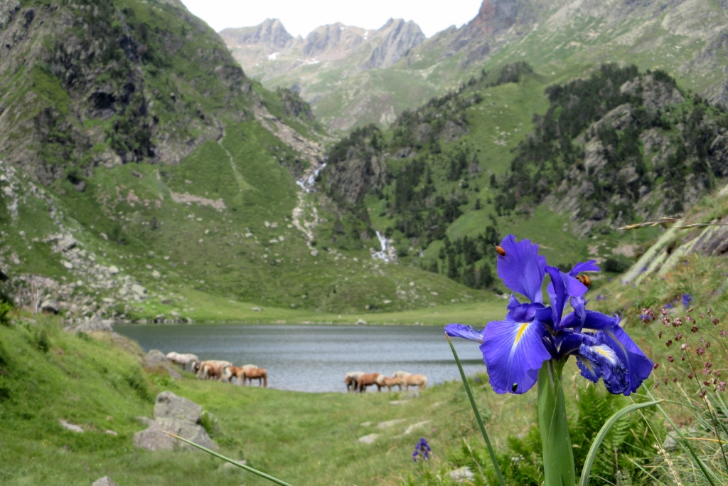 Beautiful scenes in the Pyrenees mountains