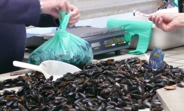 Mussels at Isigny