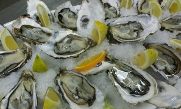 Oysters from Bouzigues
