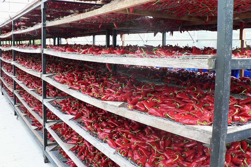 Espelette chillis drying