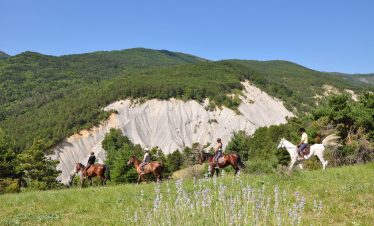 Horse riding fun in Provence