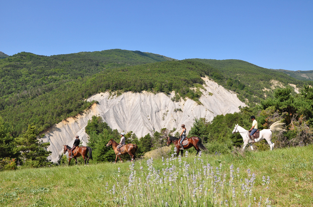 Horse riding fun in Provence