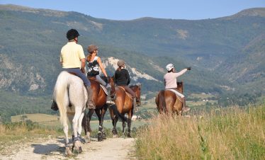 Taking in the views horse riding in Provence
