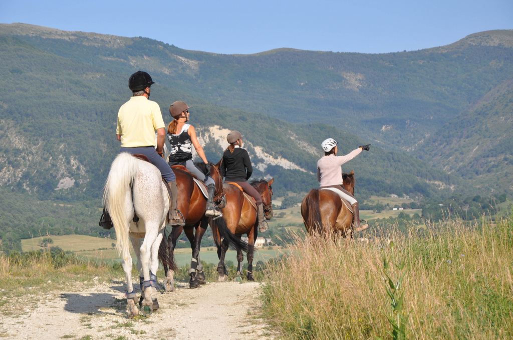 Taking in the views horse riding in Provence