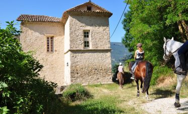 A day horse trekking in Verdon area