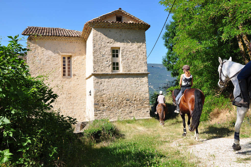 A day horse trekking in Verdon area