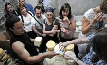 Visit to ewes milk cheese producer