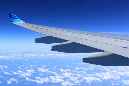 Tourists travelling by plane