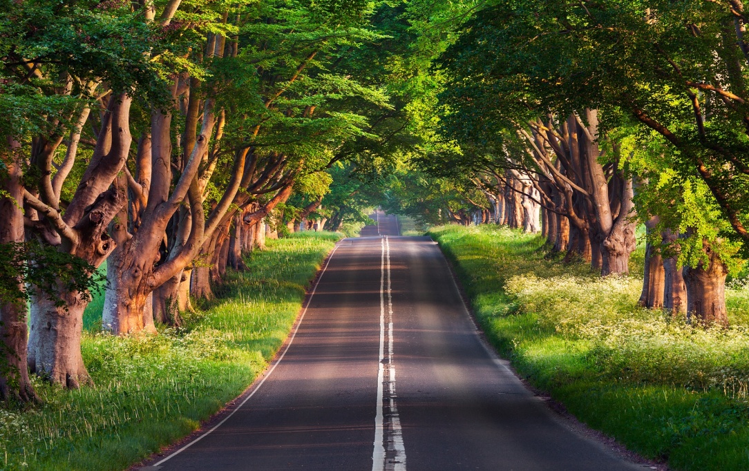 Travelling the open road