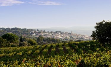 Vineyards of Bandol and coast