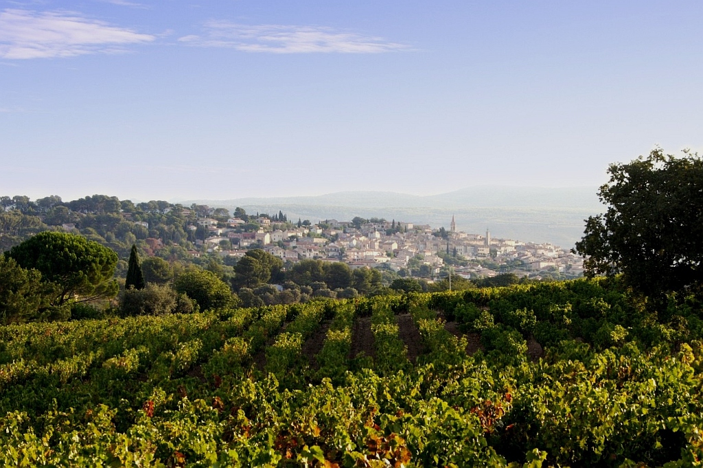 Vineyards of Bandol and coast