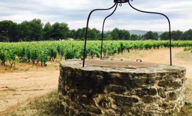 Bandol vineyards and well