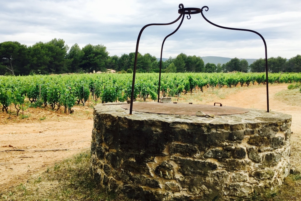 Bandol vineyards and well