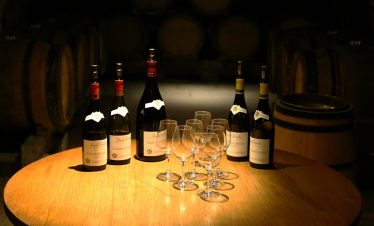 Wine tasting day excursion