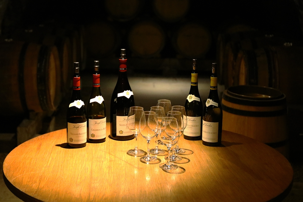 Wine tasting day excursion