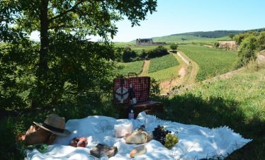 Enjoy a picnic of local produce