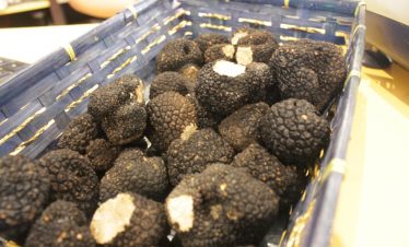 Black truffles a Burgundy speciality