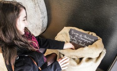 Looking at mustard seeds for Dijon mustard