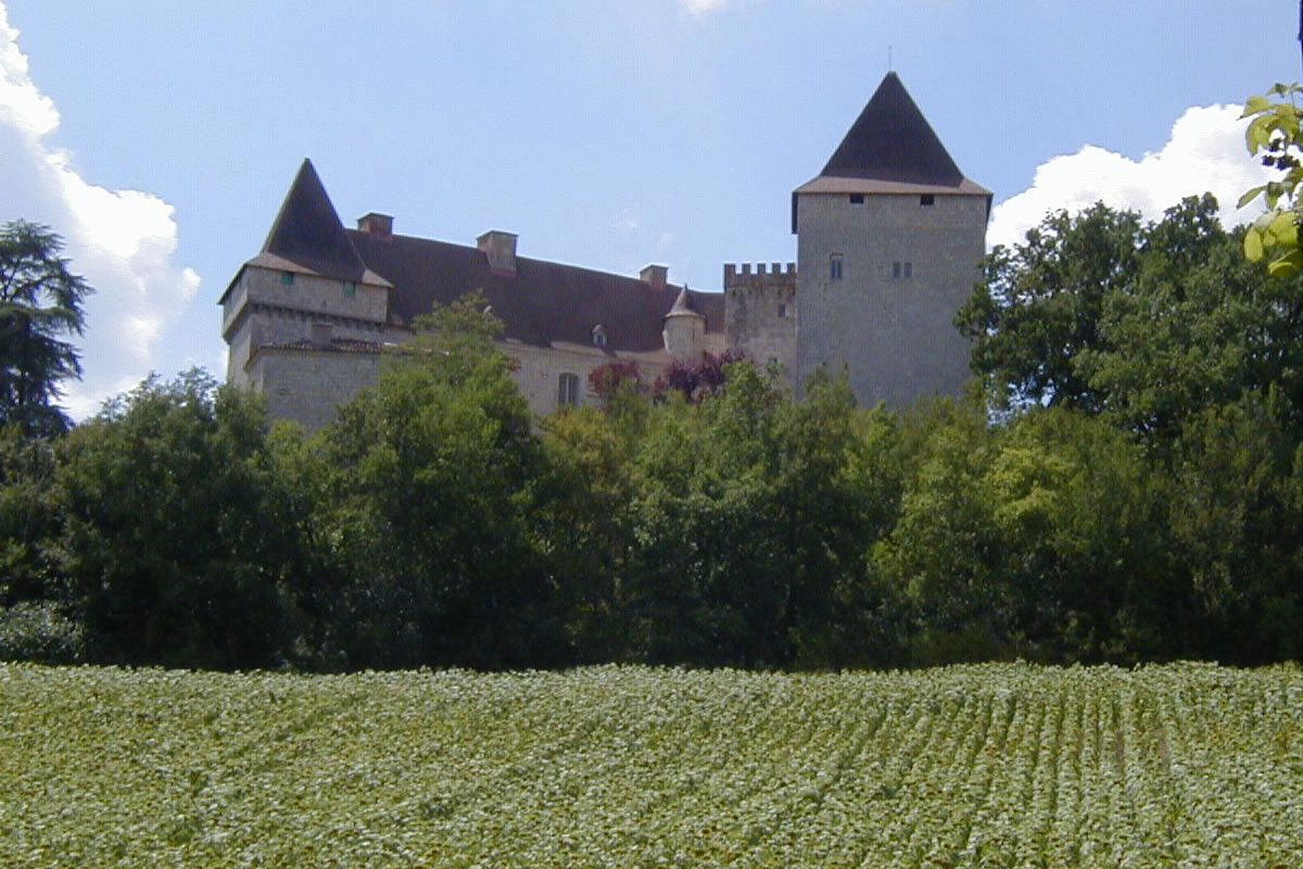 Chateau de Goudourville day excursion