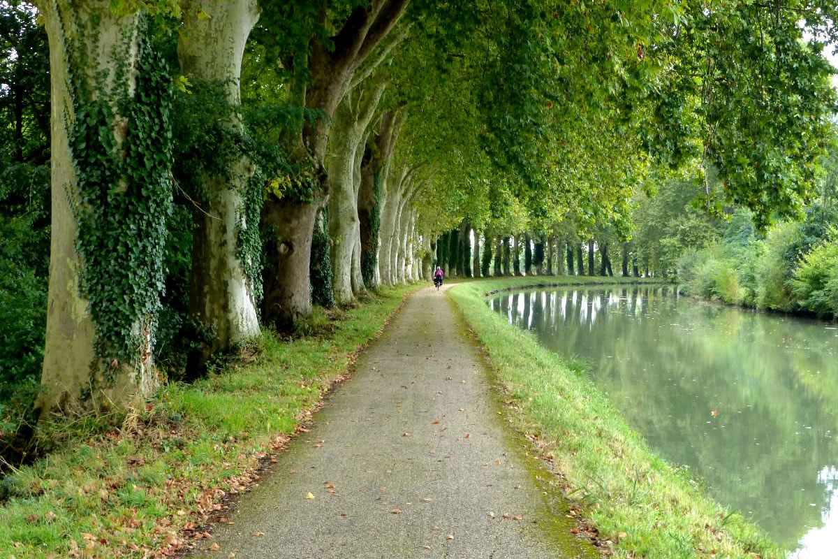 Cycle along the canal towpath in Gascony France