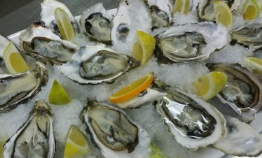 Oysters from the Arcachon Bay