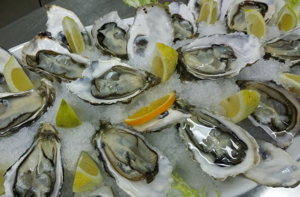 Oysters from the Arcachon Bay
