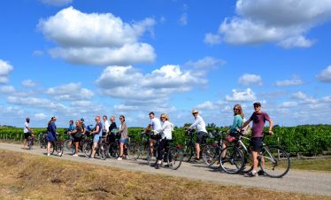 Group cycling in the Bordeaux vineyards