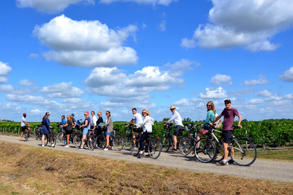 Group cycling in the Bordeaux vineyards
