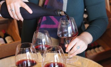 Wine tasting experience in Bordeaux