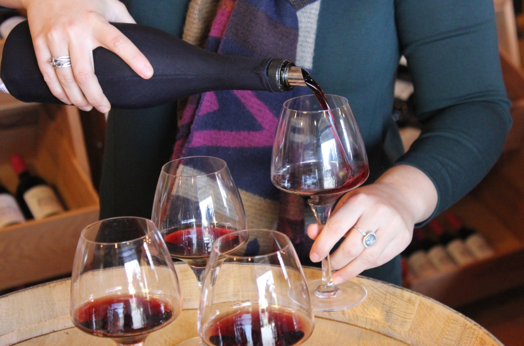 Wine tasting experience in Bordeaux